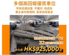 长盛豪苑 长沙湾 低层 K215764 售盘
