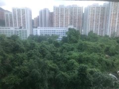 景田苑 沙田 高層 S007215 售盤