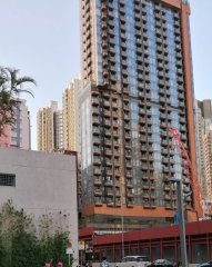 环海东岸 红磡 C217663 售盘