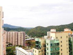 太和中心 大埔 高層 F044987 售盤