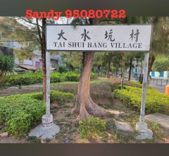 下禾輋 沙田 低層 1786554 售盤