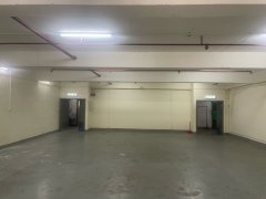 南豐工業城 屯門 低層 C088964 售盤