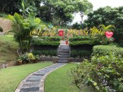 花心坑村 沙田 全层 H043576 售盘