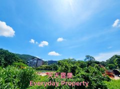 井欄樹 西貢 低層 020959 售盤