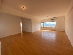 华翠别墅 赤柱 M026515 售盘