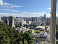 新麗花園 牛池灣 高層 N125270 售盤