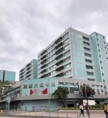 麗新元朗中心 元朗 中層 C014680 售盤