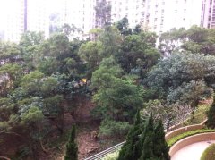 嘉峰台 牛池灣 低層 N125018 售盤