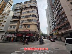 新填地街 油麻地 中層 U009875 售盤