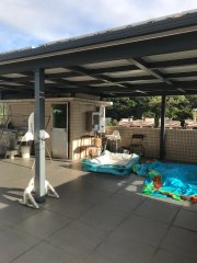 井欄樹 西貢 002994 售盤