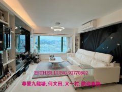 星輝豪庭 九龍塘 K120876 售盤