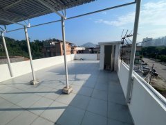 鳳園村 大埔 高層 F074871 售盤