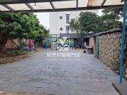 坑头村***入车大花园*** 上水 低层 S007578 售盘