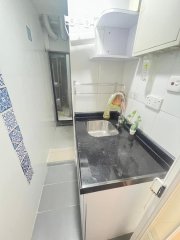 泮涌新村 大埔 低層 W142637 售盤