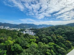 富豪山峰 沙田 高層 1765542 售盤