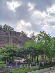冠德苑 何文田 低层 1754428 售盘