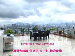 龍景樓 九龍塘 K178624 售盤