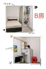 麗星大廈 油麻地 高層 C500162 售盤