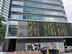 W LUXE 沙田 高层 C155554 售盘