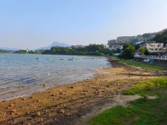 沙欄村 大埔 低層 R164827 售盤