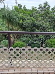 白沙湾 西贡 地下 S017285 售盘