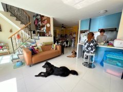 華樂豪庭 大埔 高層 T071639 售盤