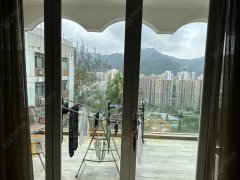 樂山 沙田 中層 1747016 售盤
