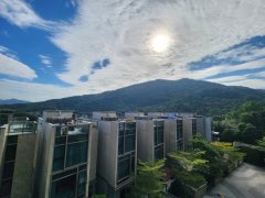 富豪山峰 沙田 低層 1765762 售盤