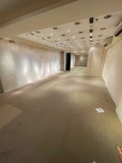 星光行 尖沙咀 012415 售盘