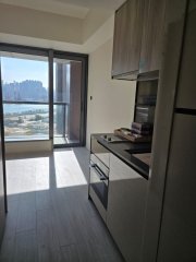 維港雙鑽 啟德 低層 T125508 售盤