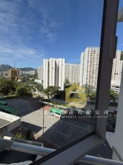 彩興苑 牛池灣 低層 C174136 售盤