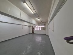 德雅工业中心 屯门 中层 C141236 售盘