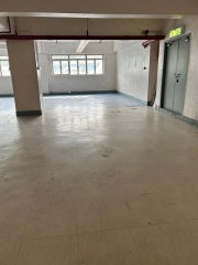 新艺工业大厦 柴湾 中层 C125471 售盘