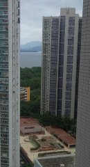 新興花園 大埔 高層 F051626 售盤