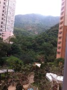 嘉峰台 牛池灣 低層 N125018 售盤