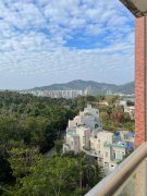 翡翠花園 大埔 1652160 售盤