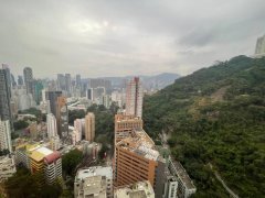 竹林苑 中半山 高層 A413968 售盤