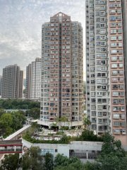 祥华村 粉岭 1769518 售盘