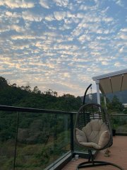 荟荞 沙田 高层 T024802 售盘