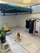 錦上路 元朗 低層 K012332 售盤