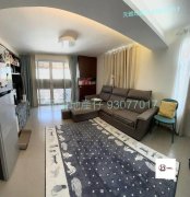 大棠路 元朗 低層 K021594 售盤