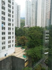 新麗花園 牛池灣 中層 N125555 售盤