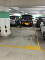 碧濤花園 沙田 低層 1766038 售盤