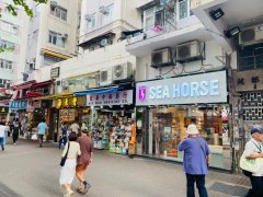 新都苑 大埔 低層 M054735 售盤