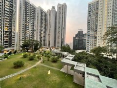 嘉云台 东半山 低层 A411155 售盘