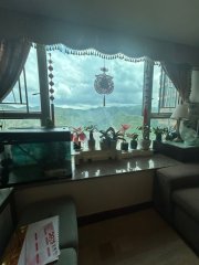 碧堤半島 荃灣 T027257 售盤