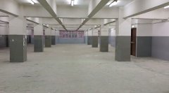 盛景工業大廈 新蒲崗 低層 004861 售盤