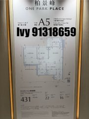 柏景峰 油塘 中層 1769076 售盤