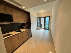 日出康城 第10期  将军澳 中层 1746824 售盘