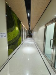 Orient Int